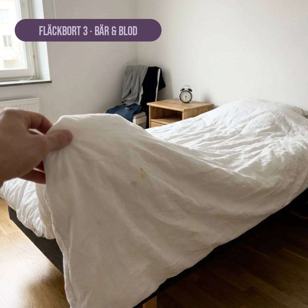 Miniatyrbild 5